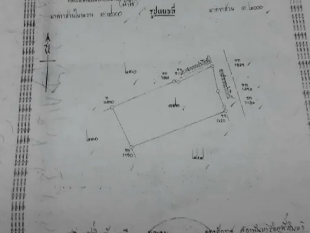 ที่สวนสวยๆแปลงกลางๆจ้า 5 ไร่ 55ล้าน ฟรีโอน 06-3635-5651 นกจ้า