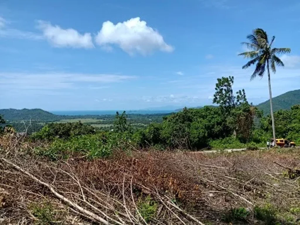 ขายที่ดินเกาะสมุย บนเขาหัวโล้น จังหวัดสุราษฎธานี