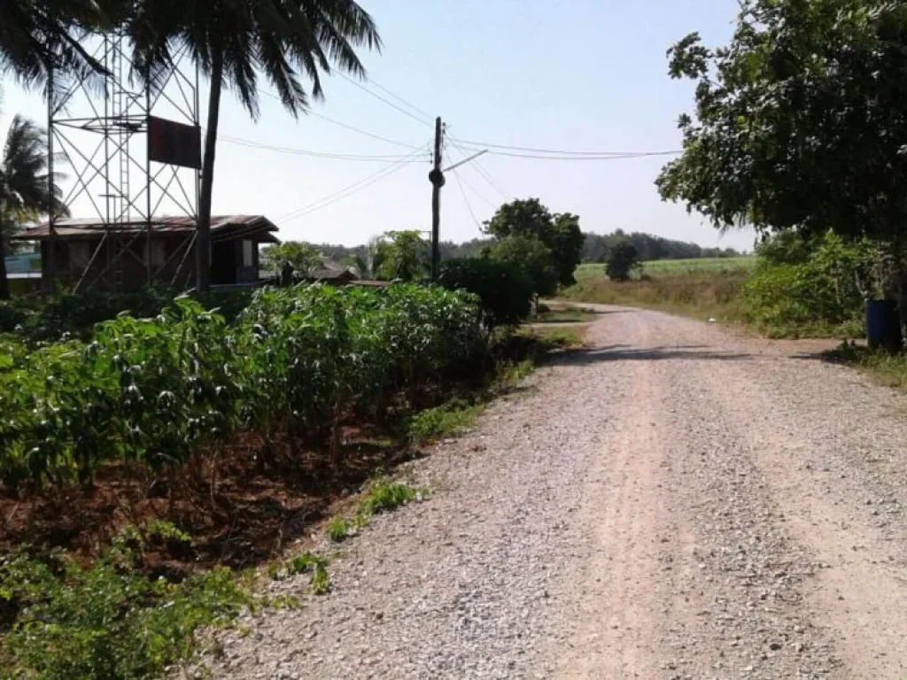 ขายที่ดิน 12 ไร่ เศษ ถนนสาย 2260 ตลำสนธิ อลำสนธิ จลพบุรี