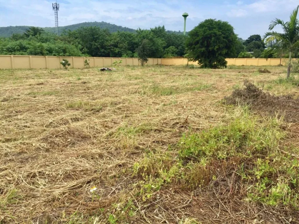 ขายที่ดินเขาใหญ่ โครงการเขาใหญ่สายธารรีสอร์ทโครงการ2 -- Land For Sell in Khao Yai