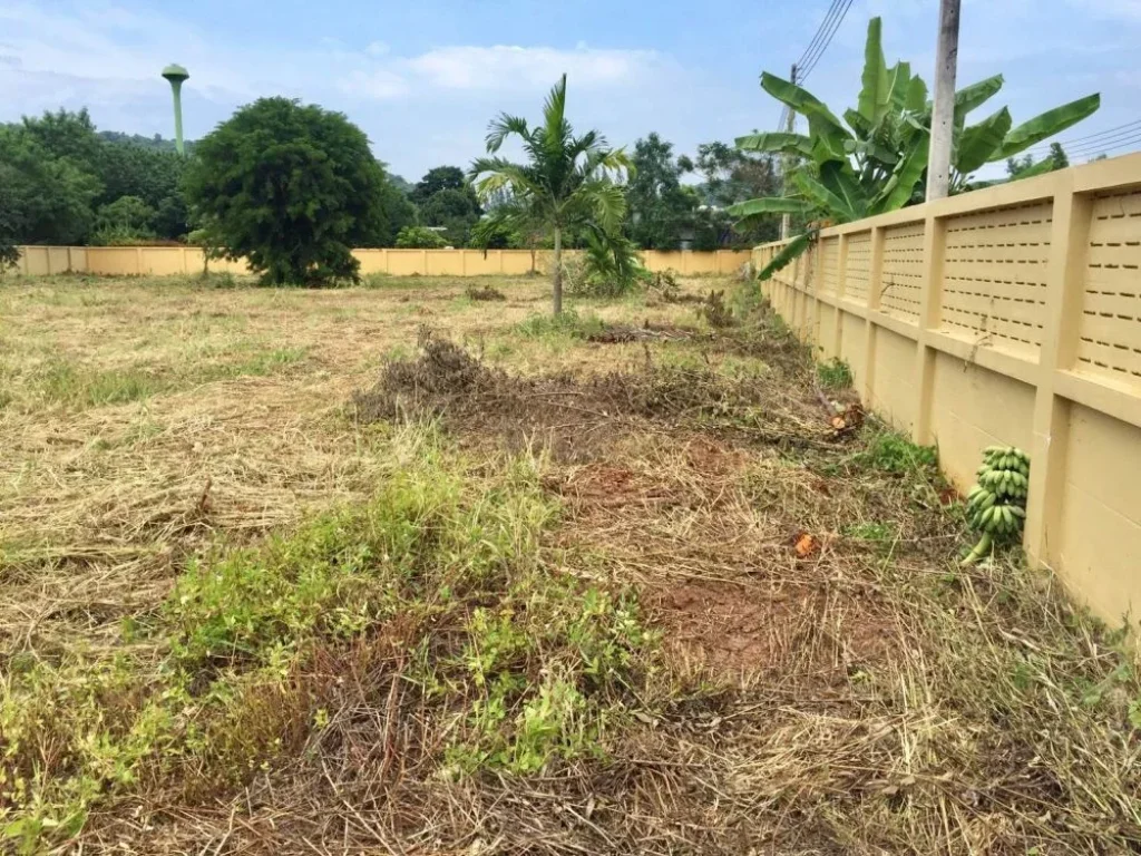 ขายที่ดินเขาใหญ่ โครงการเขาใหญ่สายธารรีสอร์ทโครงการ2 -- Land For Sell in Khao Yai