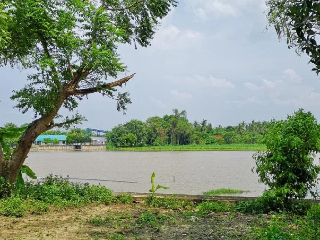 ขายที่ดินสวยติดแม่น้ำแม่กลอง15ไร่มีที่งอก200ตรว