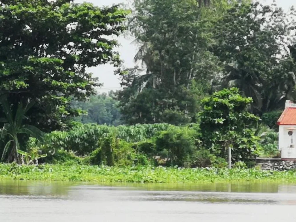 ขายที่ดินสวยติดแม่น้ำแม่กลอง15ไร่มีที่งอก200ตรว