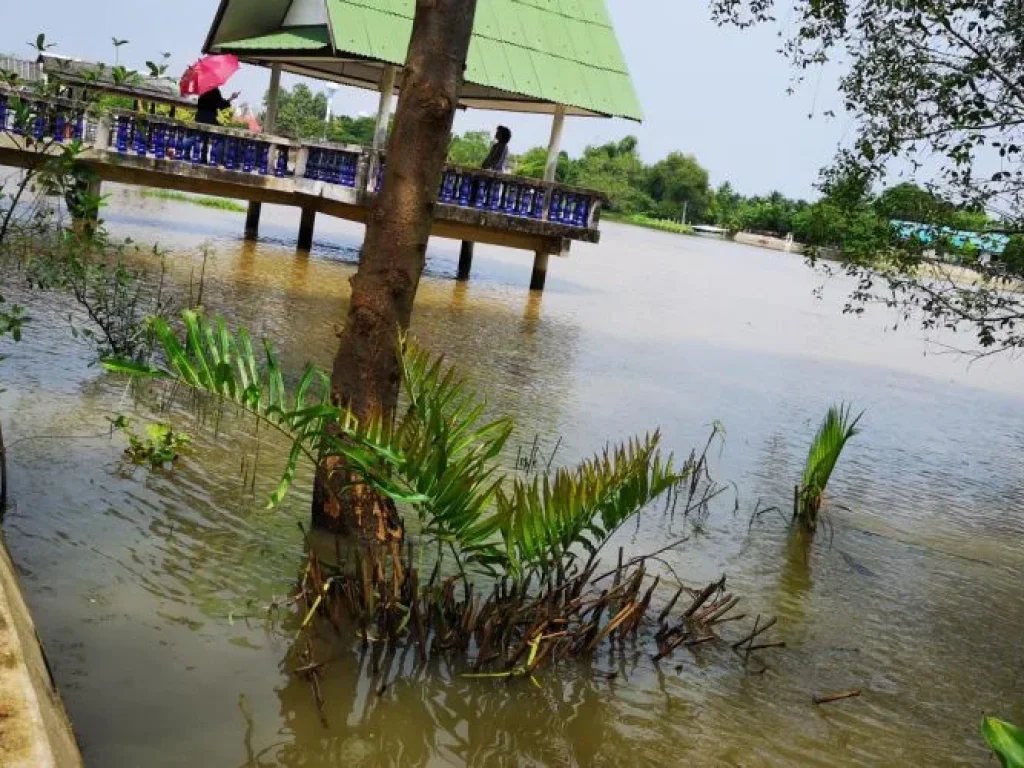 ขายที่ดินสวยติดแม่น้ำแม่กลอง15ไร่มีที่งอก200ตรว