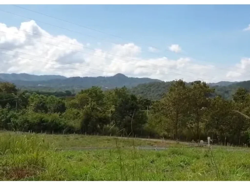 ขายที่สวยหลังแดรี่โฮมเขาใหญ่ ทำเลดี เดินทางสะดวก -- Khao Yai Land for Sell behind Dairy home Khao Yai