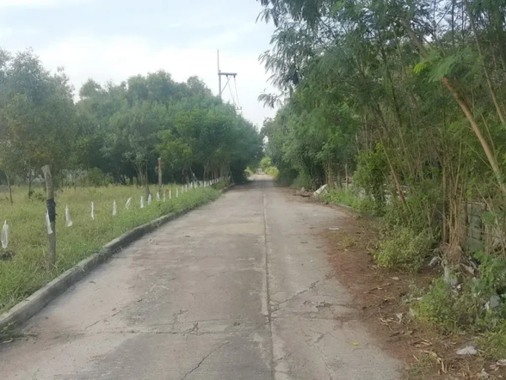 ที่ดิน ซอยคลอง 4 คลองหลวง ปทุมธานี