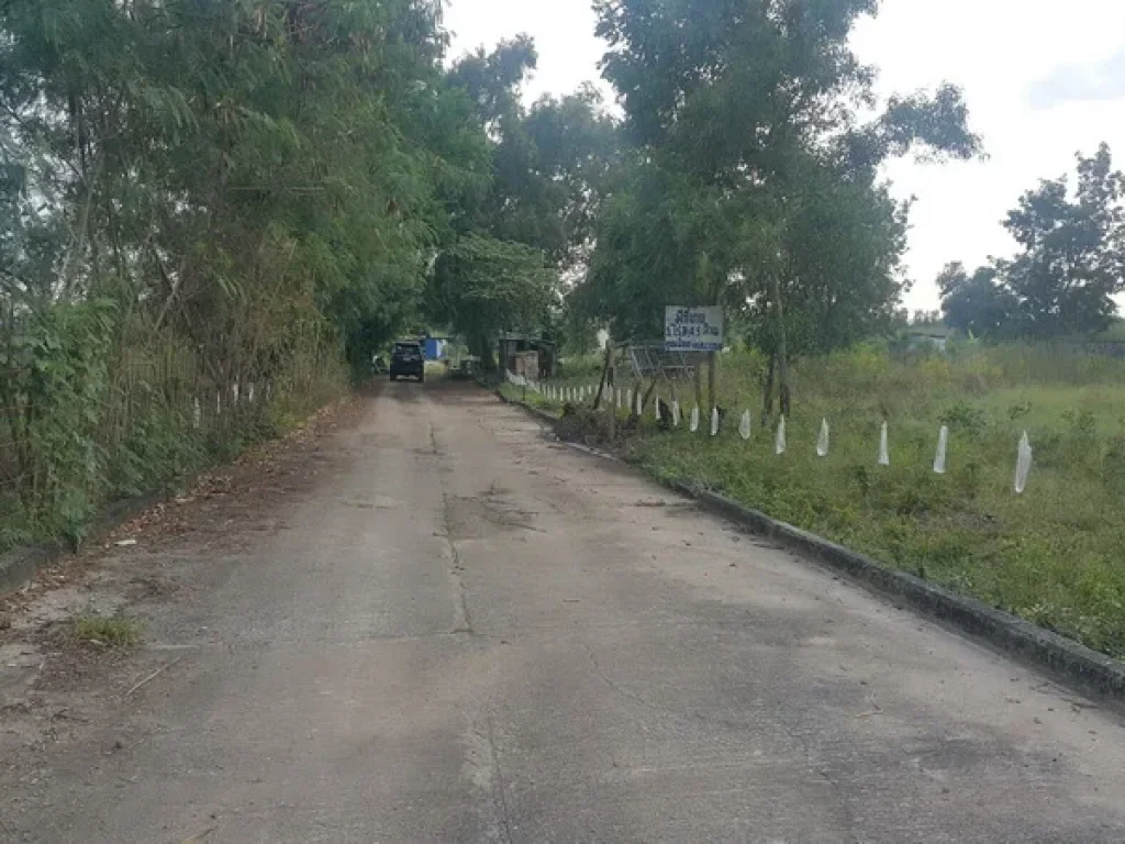 ที่ดิน ซอยคลอง 4 คลองหลวง ปทุมธานี