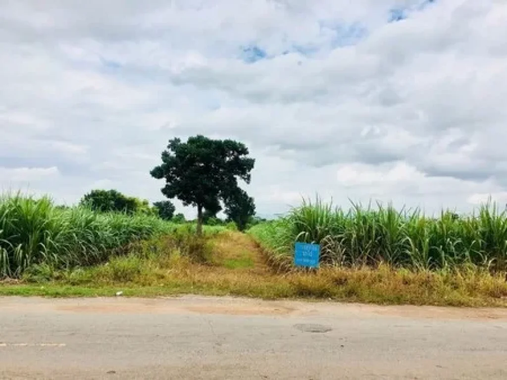 ขายที่ 10 ไร่ ติดถนนหลัก อ บ้านแท่น จ ชัยภูมิ เส้นบ้านวังหิน