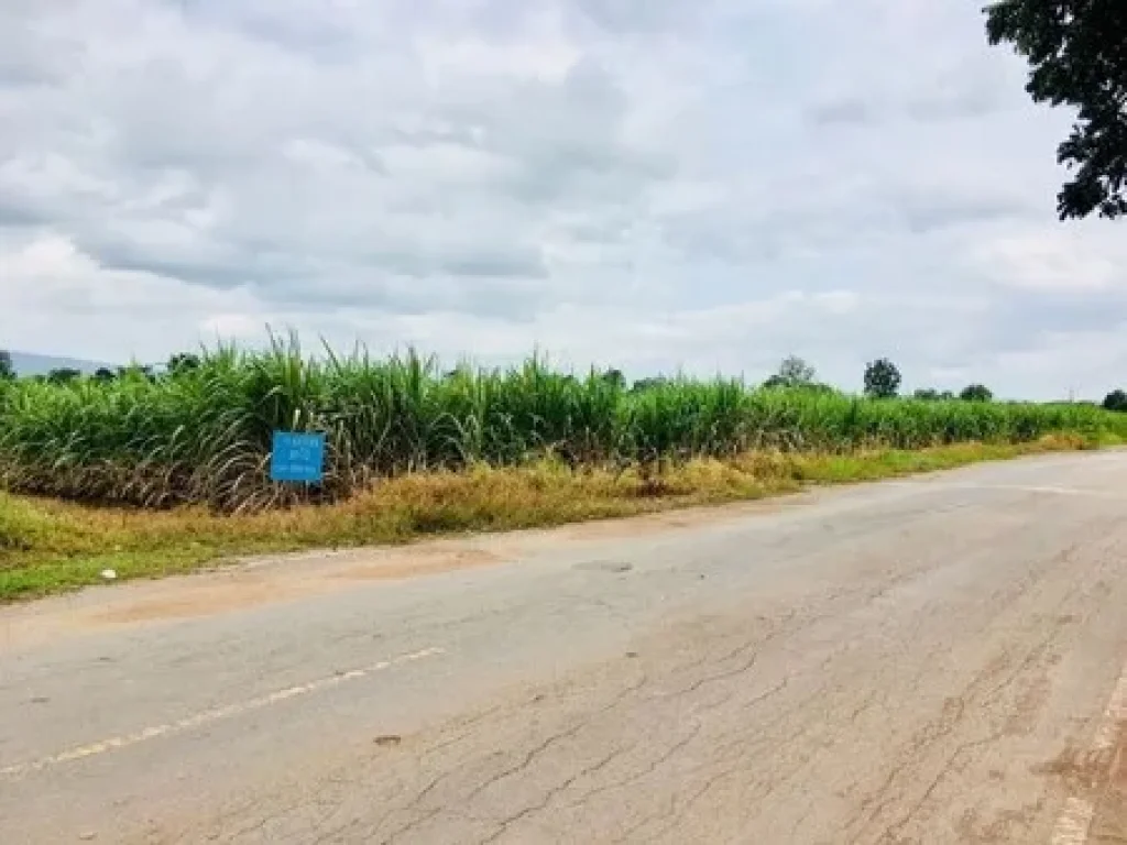 ขายที่ 10 ไร่ ติดถนนหลัก อ บ้านแท่น จ ชัยภูมิ เส้นบ้านวังหิน