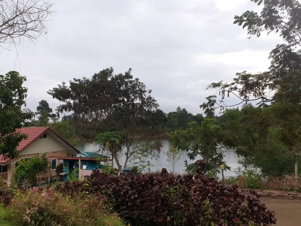 ขายรีสอร์ทดอยสะเก็ด พร้อมเริ่มกิจการได้เลยมีบึงน้ำใหญ่ วิวดอยบรรยากาศดี