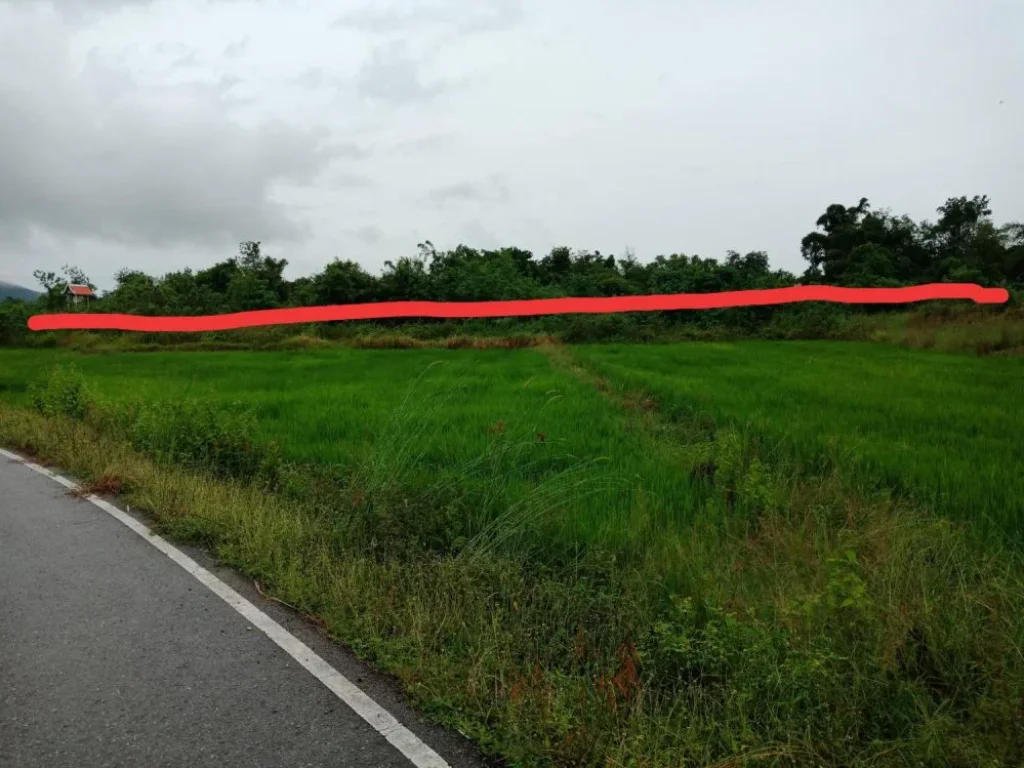 ขายที่ดินติดถนนใหญ่ อแก่งกระจาน จเพชรบุรี