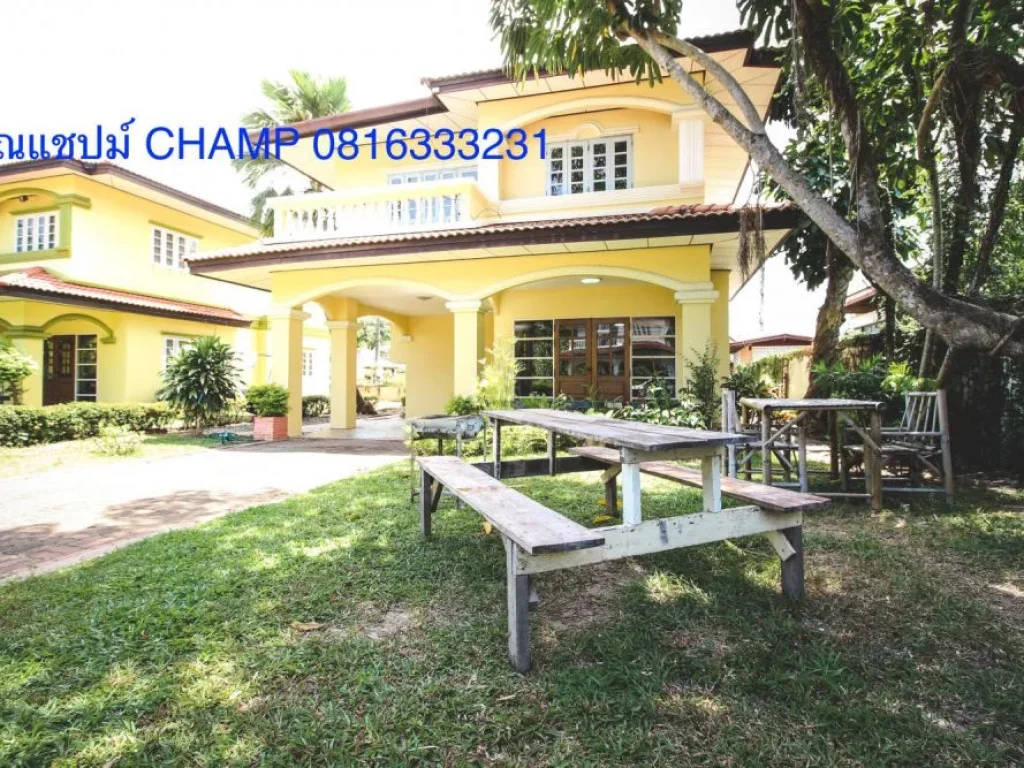 ขายให้เช่า บ้านริมหาด ระยอง เดิน 1นาทีถึงหาด SELLRENT House in Rayong 1min walk to the beach 65mn