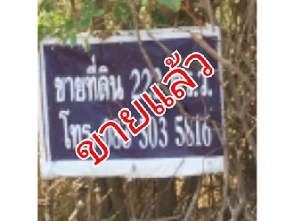 ที่ดินเปล่า ตำบลคลองหก อำเภอคลองหลวง ปทุมธานี 222 ตรว