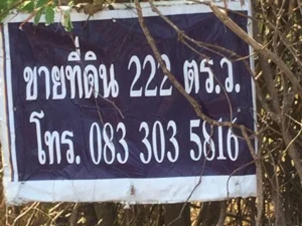 ที่ดินเปล่า ตำบลคลองหก อำเภอคลองหลวง ปทุมธานี 222 ตรว