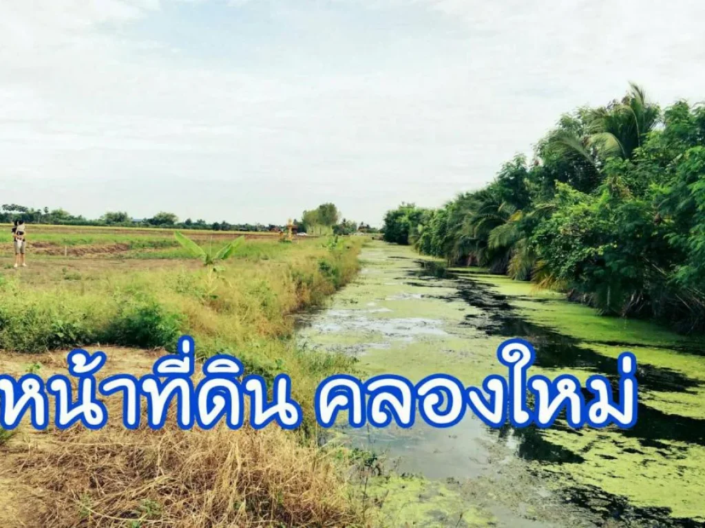 ที่ดินสวนเพื่อที่อยู่อาศัยผ่อนถูก