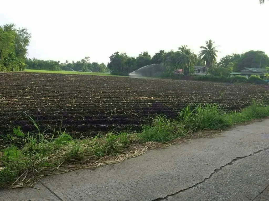 ขายที่ดินเปล่า เพื่อการเกษตร บ้านหมอ สระบุรี