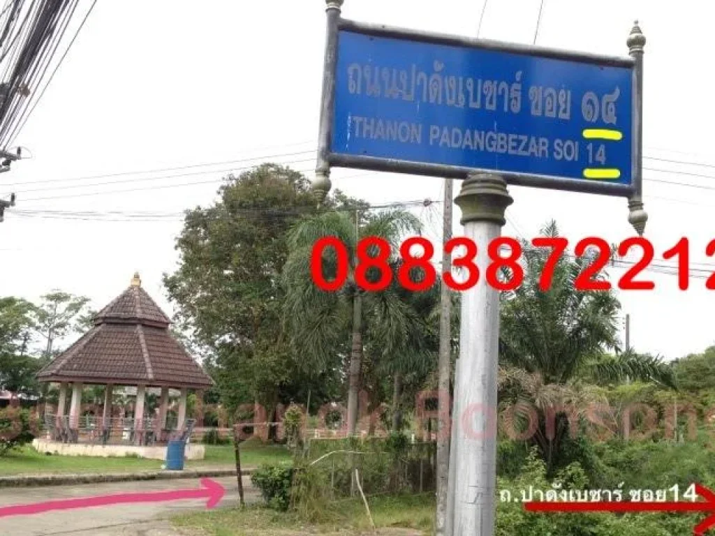 ขายที่ดินสวนยางพารา มีโฉนดที่ดิน ทำเลดีมาก