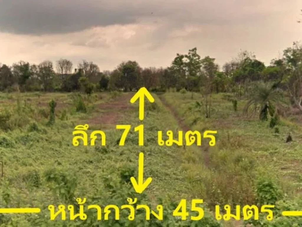 ขายที่ดิน2ไร่ รังสิตคลอง 2 ถนนเอราวัณ1 ซอย เอราวัณ 30 ในโครงการบ้านสวนเทพประทาน 