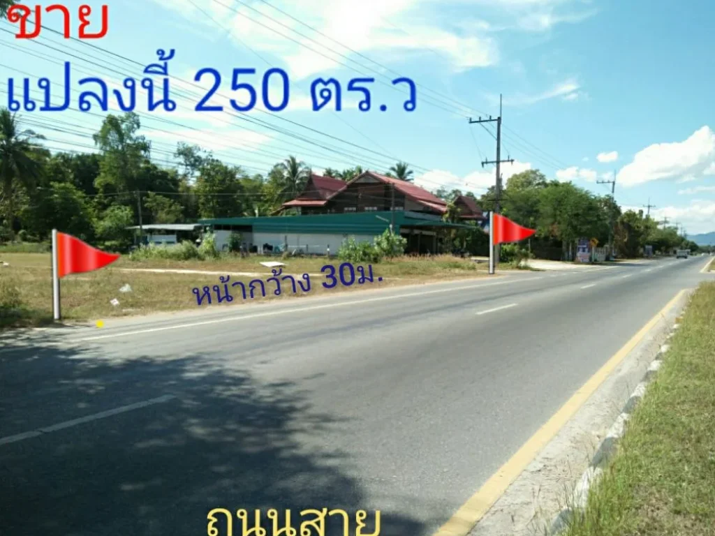 ด่วน ที่ดินติดถนนมุกดาหาร-คำชะอี เนื้อที่ 250 ตรว ทำเลดี ทำเลเด่น ทำเลค้าขาย ติดถนน 3 ด้าน