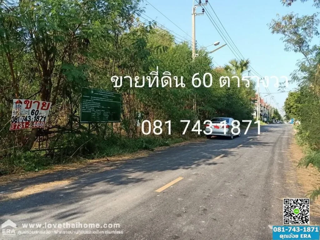 ขายที่ดินเปล่าไทรน้อย บางบัวทอง นนทบุรี ซอยฉัตรหลวง2 เข้าซอยเพียง450เมตร ใกล้การไฟฟ้าย่อยไทรน้อย บางบัวทอง