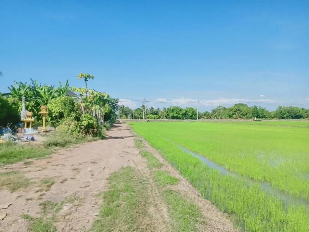 ขายที่ดินพร้อมบ้านมือสอง 100 ตรวคลอง 21 ห่างถ5006 - 3 กม อบางน้ำเปรี้ยว จฉะเชิงเทรา