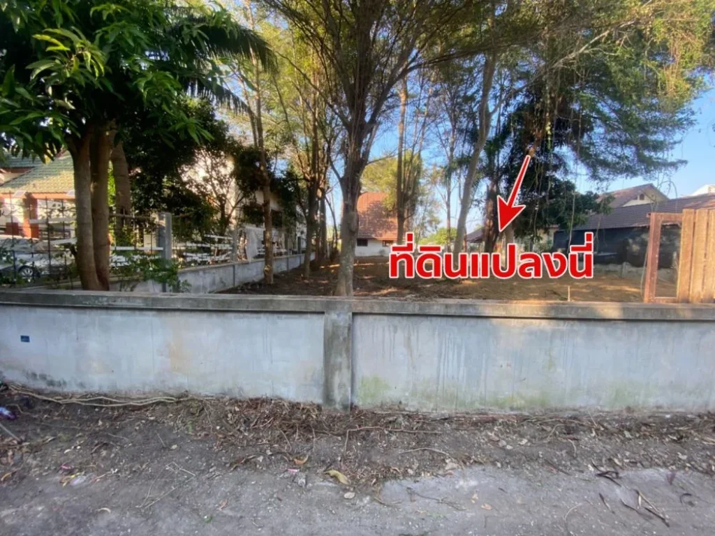 ขายที่ดินเปล่า 161 ตรวา ในหมู่บ้านโชคดีวิลเลจ หลังห้างแหลมทอง ระยอง