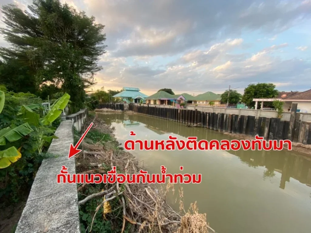 ขายที่ดินเปล่า 161 ตรวา ในหมู่บ้านโชคดีวิลเลจ หลังห้างแหลมทอง ระยอง