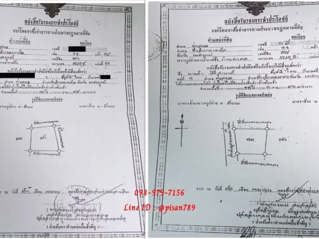 ขายที่ดินเป็นเนินสโลปลงที่ราบ 27 ไร่ 21 ตารางวา เขาค้อ เพชรบูรณ์ ใกล้โรงเรียน