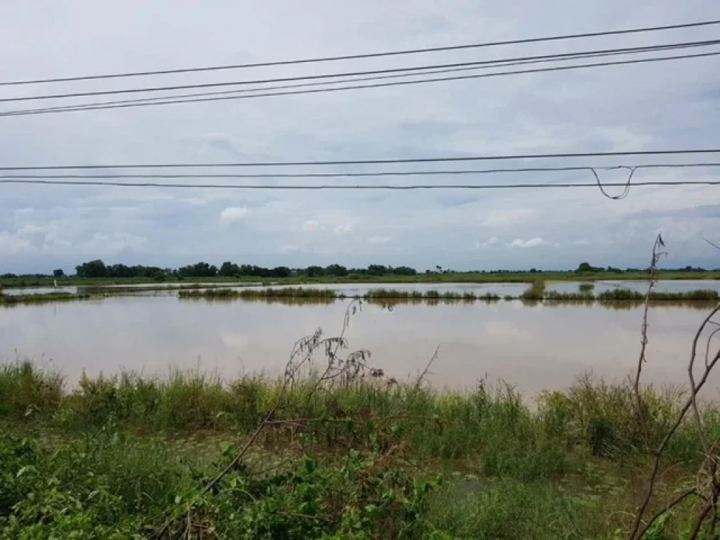 ขายที่ดินสวยด่วน ตบ้านสร้าง อบ้านสร้าง จปราจีนบุรี