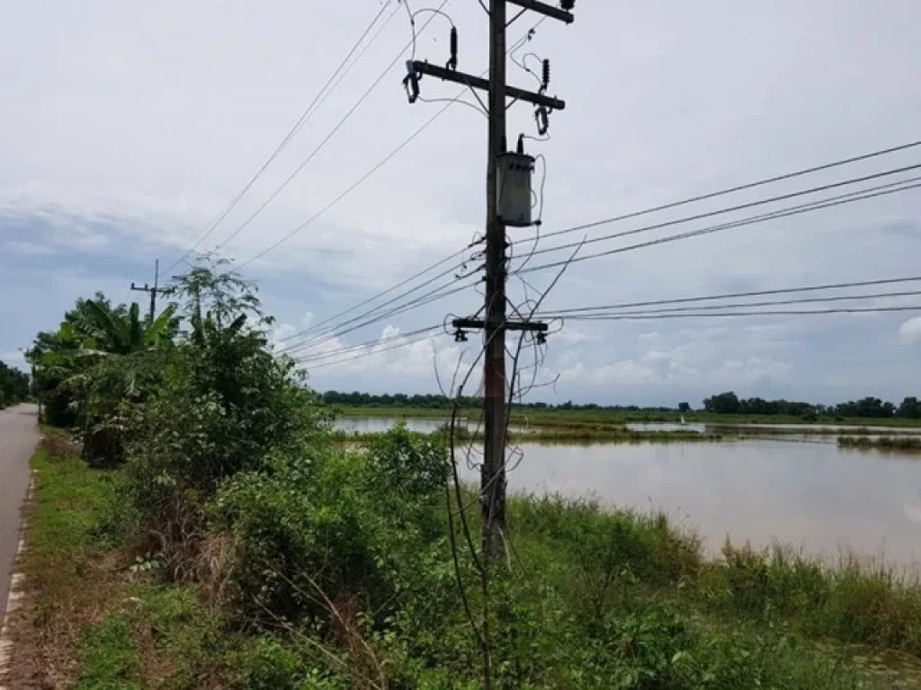 ขายที่ดินสวยด่วน ตบ้านสร้าง อบ้านสร้าง จปราจีนบุรี