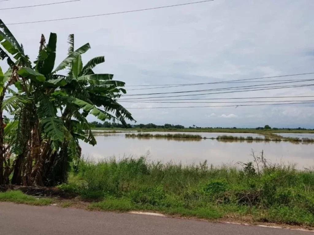 ขายที่ดินสวยด่วน ตบ้านสร้าง อบ้านสร้าง จปราจีนบุรี