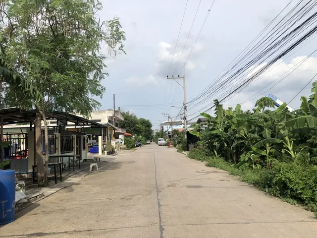 ขาย ที่ดิน 110 ตรว ซอยคลองหลวง 33 หรือซอยเรืองผึ้ง ต คลองหนึ่ง อ คลองหลวง จปทุมธานี