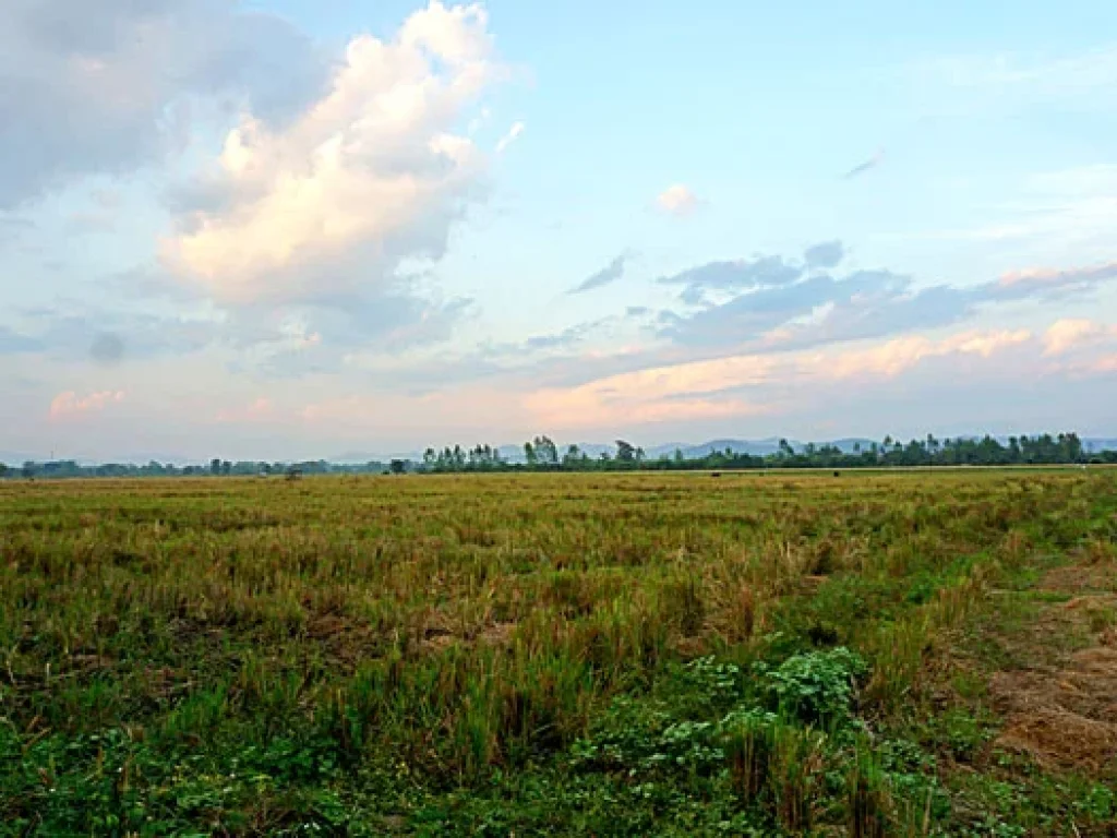 ขายที่ดิน ใกล้เทศบาลตำบลห้วยทราย ตำบลห้วยทราย อำเภอสันกำแพง จังหวัดเชียงใหม่