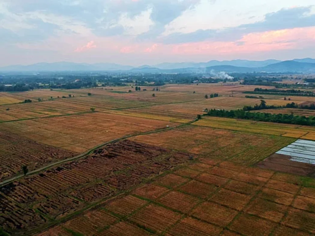 ขายที่ดิน ใกล้เทศบาลตำบลห้วยทราย ตำบลห้วยทราย อำเภอสันกำแพง จังหวัดเชียงใหม่