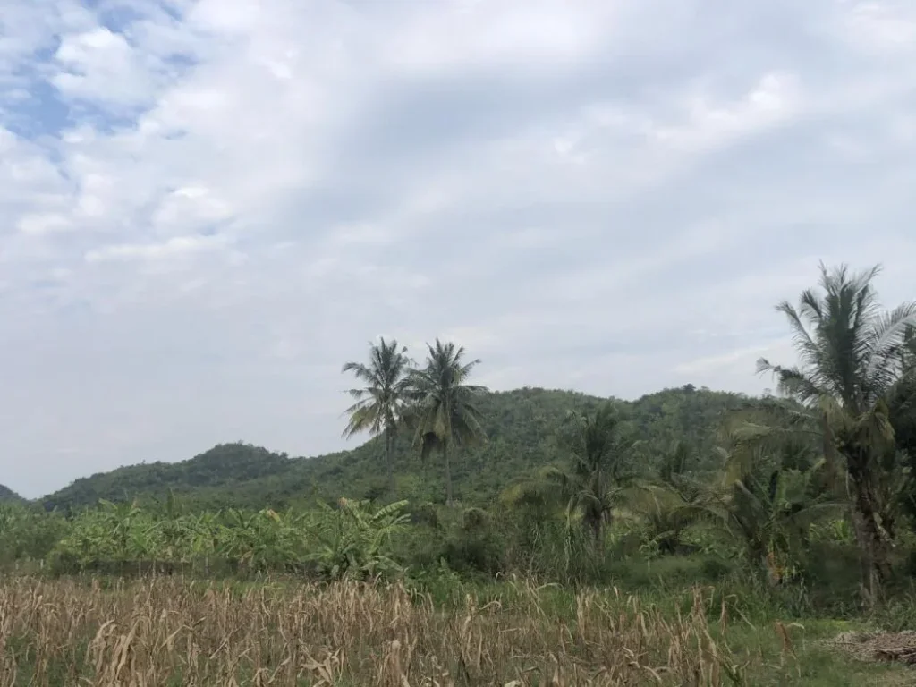 ที่ดิน ติดลำห้วย ลำห้วยล้อมรอบ วิวภูเขา แก่งกระจาน