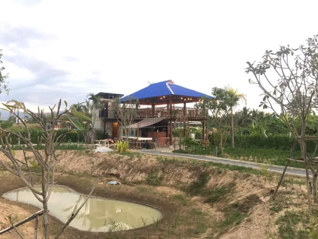 Land Farm with Wooden House for sale Chiang Mai