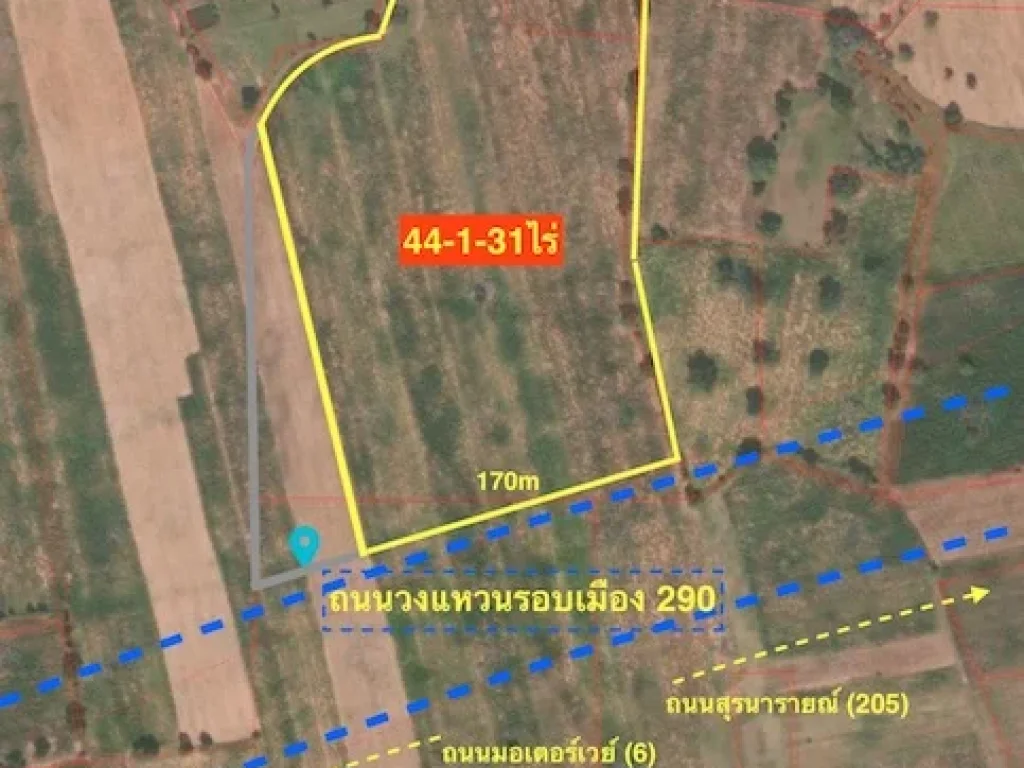 ขายที่ดินติดถนนวงแหวนรอบเมืองโคราช เนื้อที่ 44-1-31ไร่