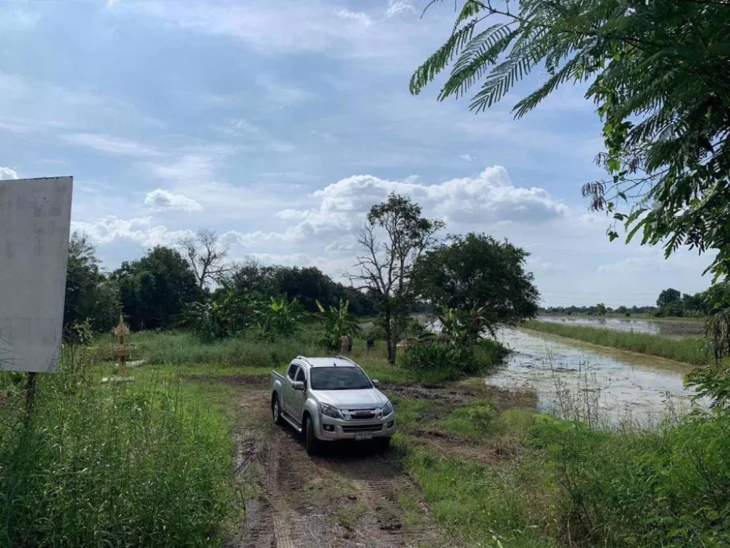 ขายที่ดิน จปทุมธานี 31 ไร่ ติดถนน รูปที่ดินทรงสี่เหลี่ยม