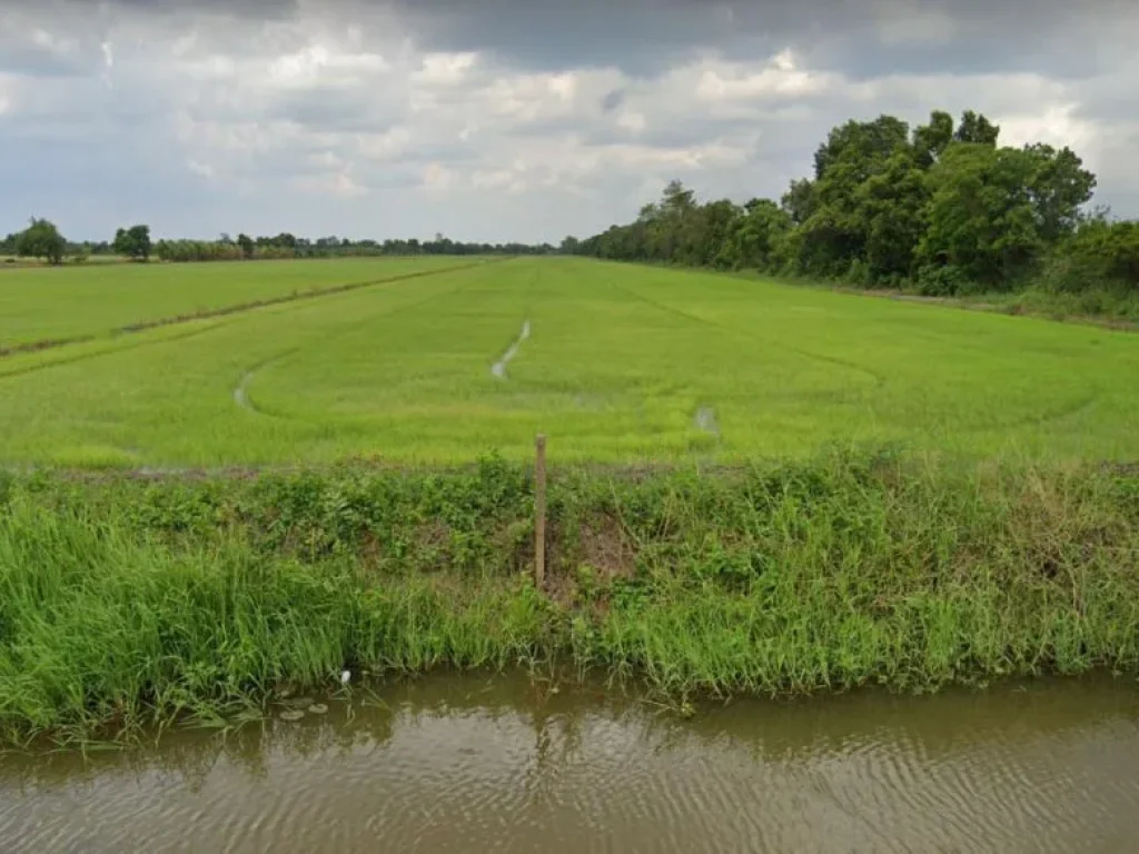 ขายที่ดิน จปทุมธานี 31 ไร่ ติดถนน รูปที่ดินทรงสี่เหลี่ยม