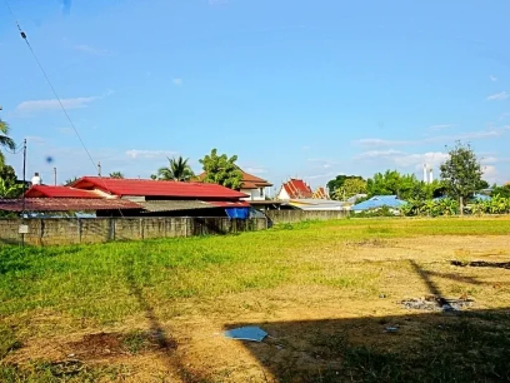 ขายที่ดิน ถมแล้ว บ้านป่าตาล ตำบลสันผักหวาน อำเภอหางดง จังหวัดเชียงใหม่