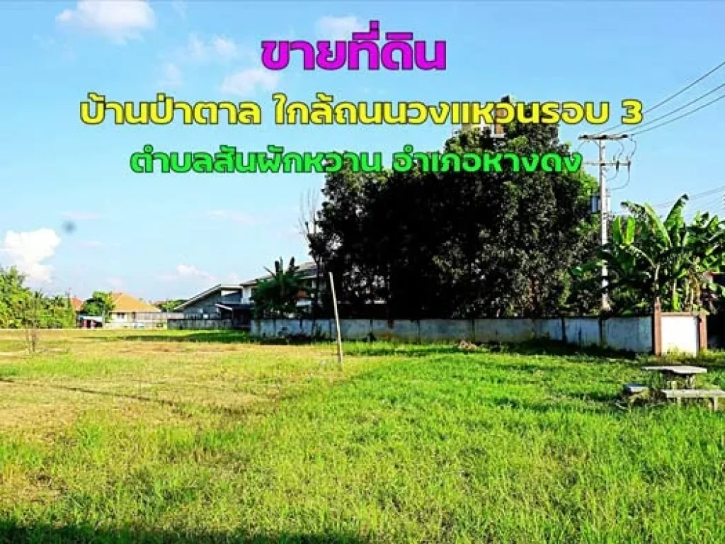 ขายที่ดิน บ้านป่าตาล ตำบลสันผักหวาน อำเภอหางดง จังหวัดเชียงใหม่