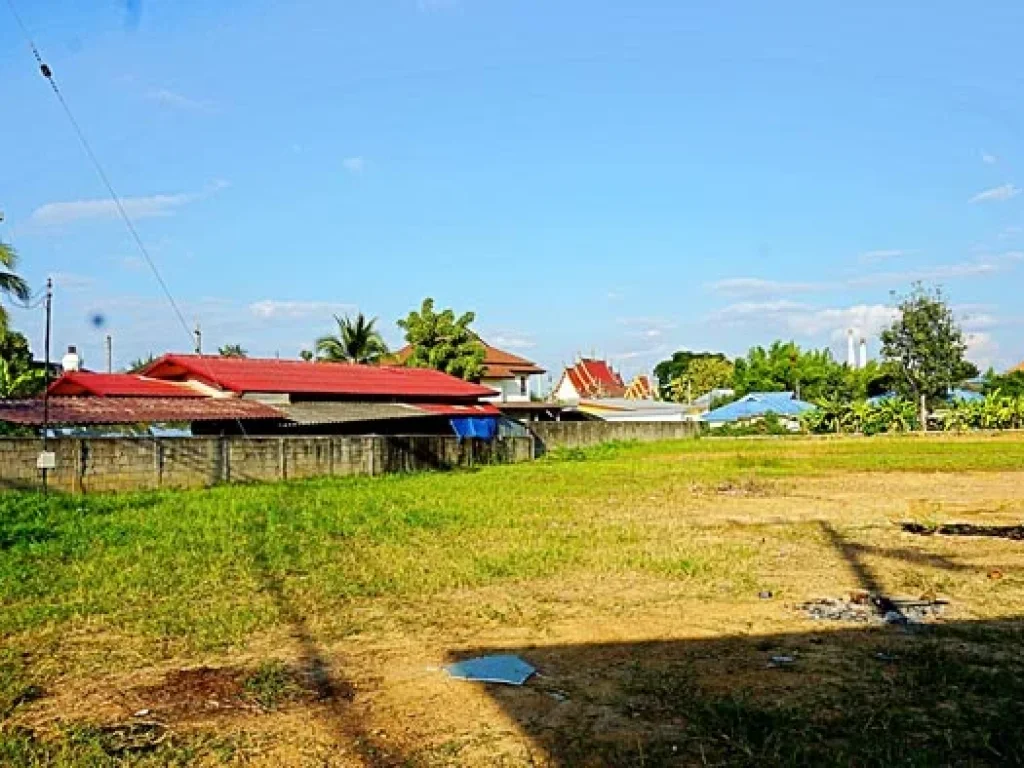 ขายที่ดิน บ้านป่าตาล ตำบลสันผักหวาน อำเภอหางดง จังหวัดเชียงใหม่