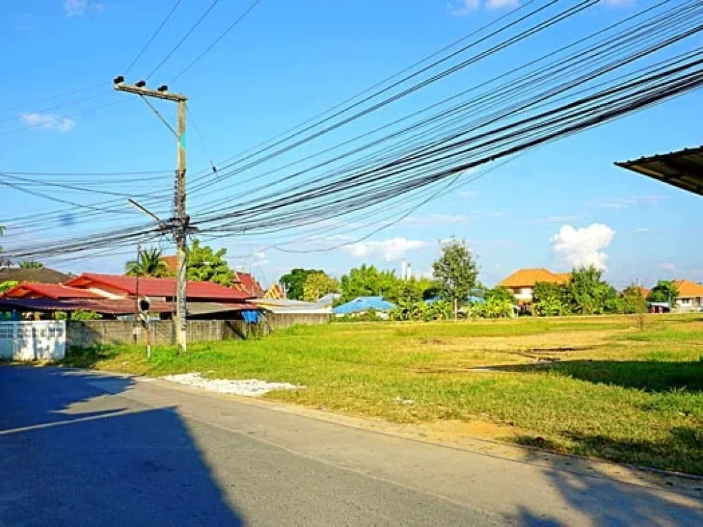 ขายที่ดิน บ้านป่าตาล ตำบลสันผักหวาน อำเภอหางดง จังหวัดเชียงใหม่