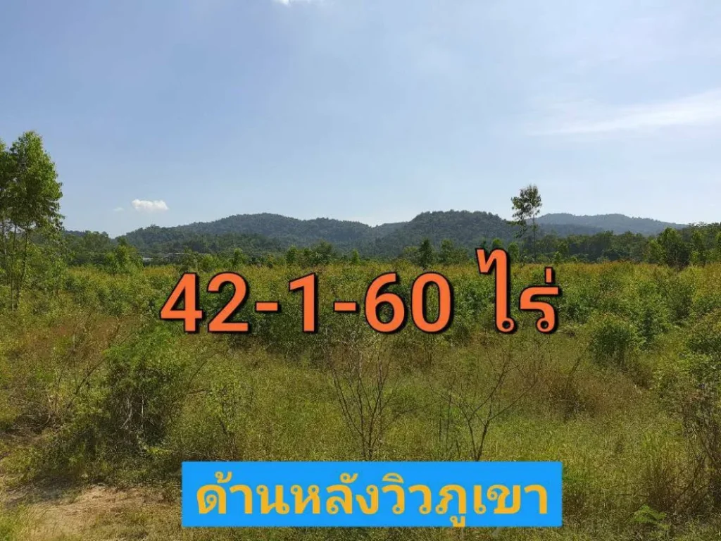 ขายที่ดินราคาถูก 42-1-60 ไร่ ติดไร่หวานสนิทรีสอร์ท ติดถนนลาดยางสองด้าน อแก่งคอย สระบุรี