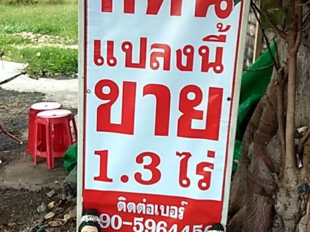 ขายที่ดิน 13 ไร่ ขายยกแปลงรวม 18 ล้านบาท อยู่ระหว่างศาลเจ้าแม่ทับทิม กับตลาดสด เมืองปราจีนบุรี