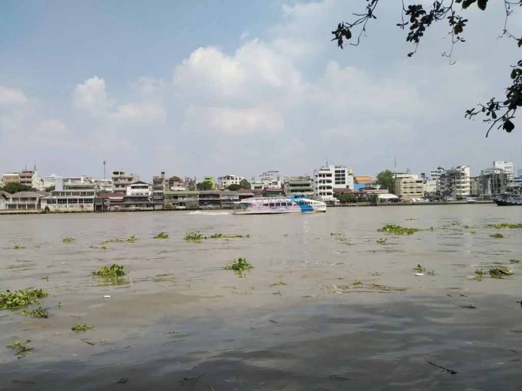 ที่ดินติดแม่น้ำเจ้าพระยาคลองสานใกล้ล้ง1919