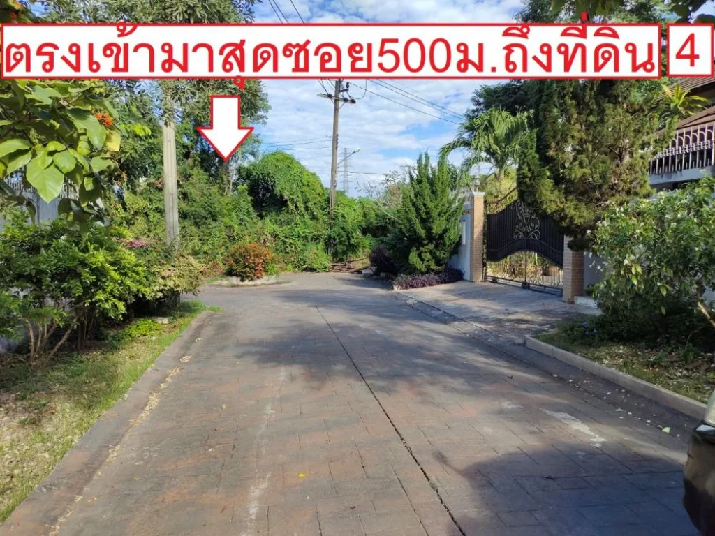 ขายที่ดิน ซอยพัฒนาการ69แยก11 เมืองทอง2โครงการ4 ที่ถมแล้ว ประเวศ หน้ากว้าง12เมตร ลึก28เมตร ติดถนนซอย ห่างถนนพัฒนาการ 19กิโลเมตร เหมาะทำที่อยู่อาศัยหรื