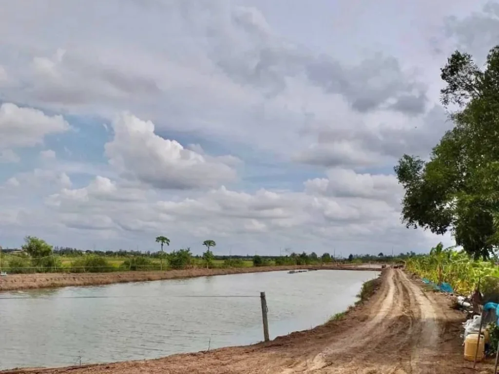 ขายถูก ที่ดินด้านหน้าติดคลองบางเลน นครปฐม