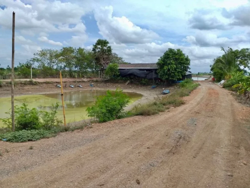 ขายถูก ที่ดินด้านหน้าติดคลองบางเลน นครปฐม