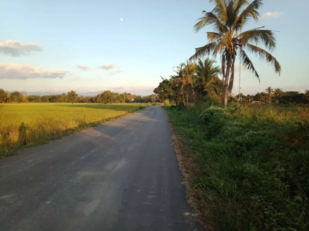 ขายที่ดินดอยสะเก็ต สง่าบ้าน วิวดอย ติดถนน มีบ่อน้ำ